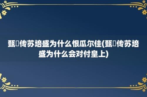 甄嬛传苏培盛为什么恨瓜尔佳(甄嬛传苏培盛为什么会对付皇上)