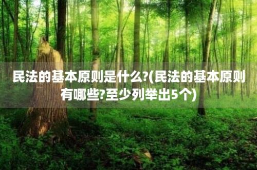 民法的基本原则是什么?(民法的基本原则有哪些?至少列举出5个)