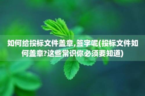 如何给投标文件盖章,签字呢(投标文件如何盖章?这些常识你必须要知道)