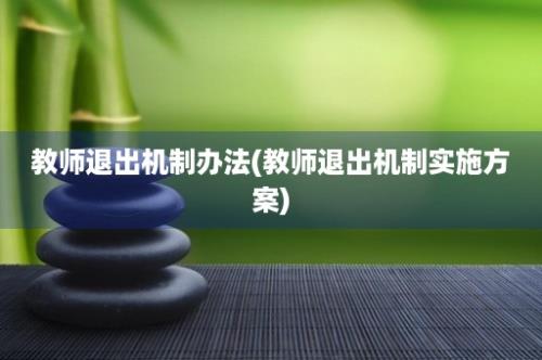 教师退出机制办法(教师退出机制实施方案)