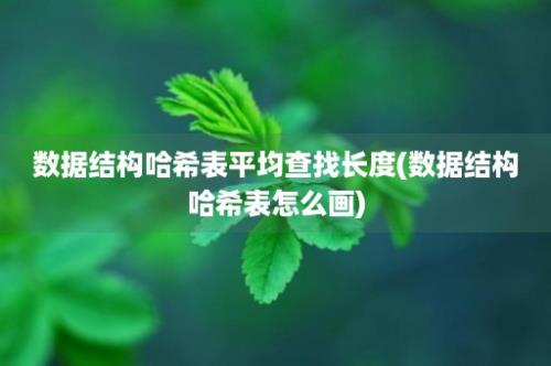 数据结构哈希表平均查找长度(数据结构哈希表怎么画)