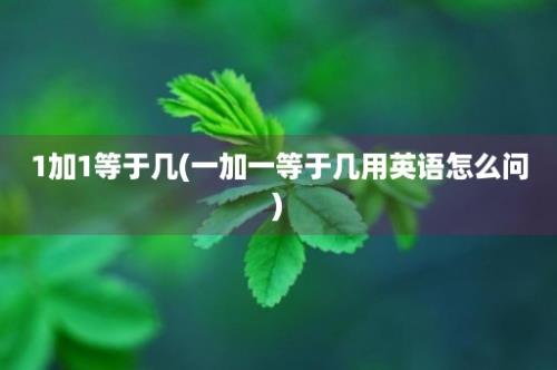 1加1等于几(一加一等于几用英语怎么问)