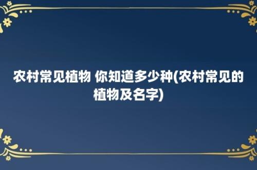 农村常见植物 你知道多少种(农村常见的植物及名字)