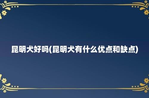 昆明犬好吗(昆明犬有什么优点和缺点)