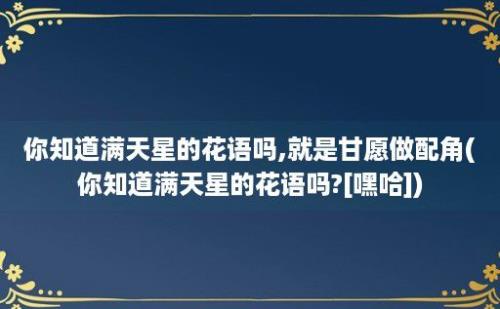 你知道满天星的花语吗,就是甘愿做配角(你知道满天星的花语吗?[嘿哈])