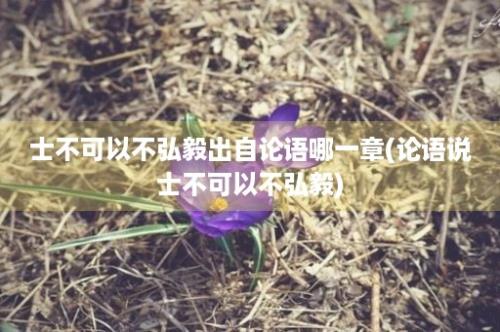 士不可以不弘毅出自论语哪一章(论语说士不可以不弘毅)