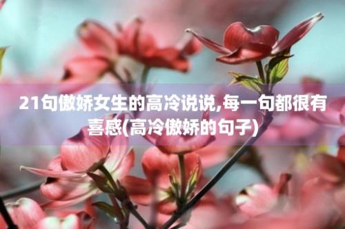 21句傲娇女生的高冷说说,每一句都很有喜感(高冷傲娇的句子)