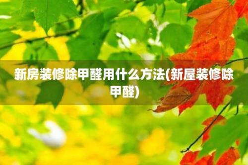 新房装修除甲醛用什么方法(新屋装修除甲醛)