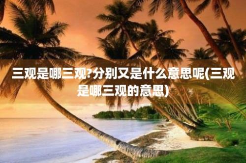 三观是哪三观?分别又是什么意思呢(三观是哪三观的意思)