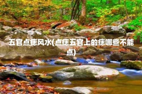 五官点痣风水(点痣五官上的痣哪些不能点)