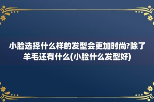 小脸选择什么样的发型会更加时尚?除了羊毛还有什么(小脸什么发型好)