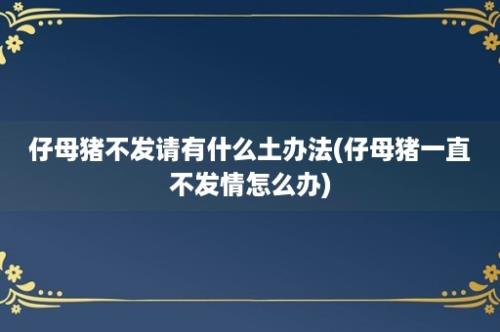 仔母猪不发请有什么土办法(仔母猪一直不发情怎么办)