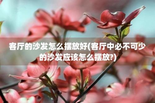 客厅的沙发怎么摆放好(客厅中必不可少的沙发应该怎么摆放?)