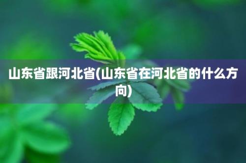 山东省跟河北省(山东省在河北省的什么方向)