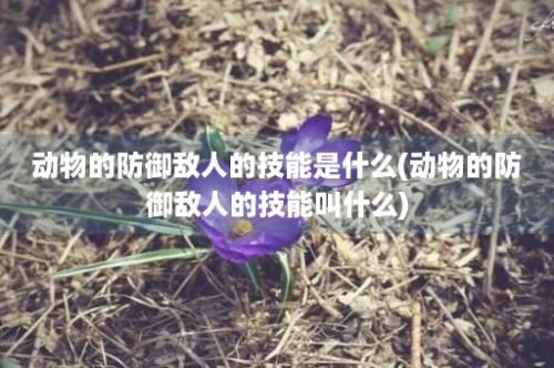 动物的防御敌人的技能是什么(动物的防御敌人的技能叫什么)