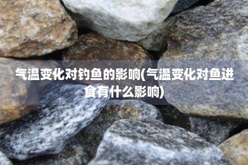 气温变化对钓鱼的影响(气温变化对鱼进食有什么影响)