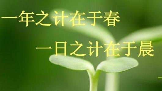 一日之计在于晨是什么意思