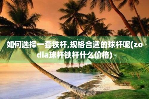 如何选择一套铁杆,规格合适的球杆呢(zodia球杆铁杆什么价格)