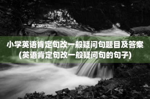 小学英语肯定句改一般疑问句题目及答案(英语肯定句改一般疑问句的句子)