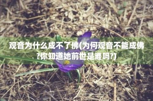 观音为什么成不了佛(为何观音不能成佛?你知道她前世是谁吗?)