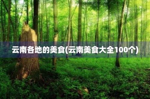 云南各地的美食(云南美食大全100个)