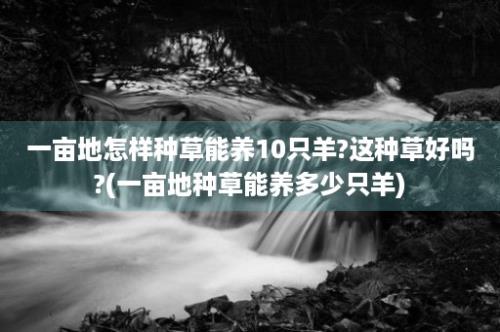 一亩地怎样种草能养10只羊?这种草好吗?(一亩地种草能养多少只羊)