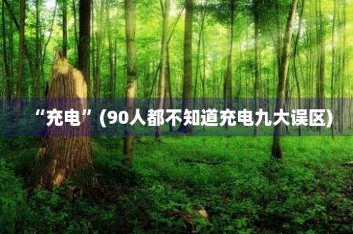 “充电”(90人都不知道充电九大误区)