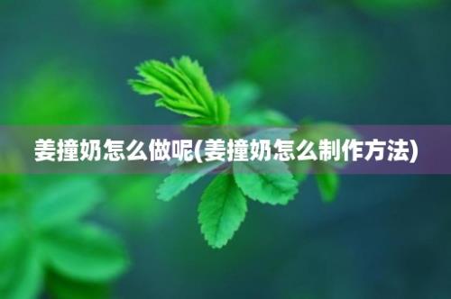 姜撞奶怎么做呢(姜撞奶怎么制作方法)