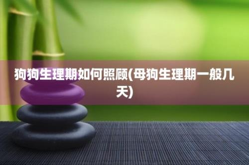 狗狗生理期如何照顾(母狗生理期一般几天)