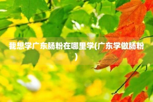 我想学广东肠粉在哪里学(广东学做肠粉)