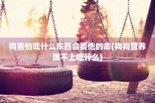 狗害怕吃什么东西会要他的命(狗狗营养跟不上吃什么)