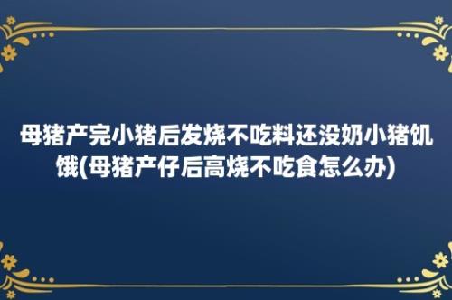 母猪产完小猪后发烧不吃料还没奶小猪饥饿(母猪产仔后高烧不吃食怎么办)