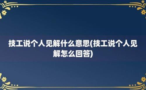 技工说个人见解什么意思(技工说个人见解怎么回答)