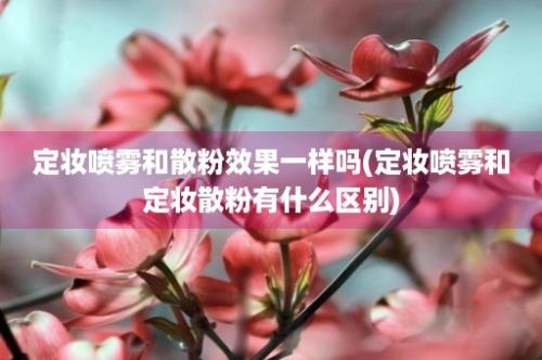 定妆喷雾和散粉效果一样吗(定妆喷雾和定妆散粉有什么区别)