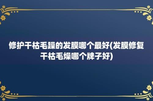 修护干枯毛躁的发膜哪个最好(发膜修复干枯毛燥哪个牌子好)