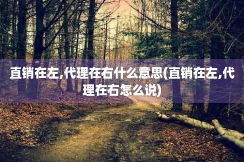 直销在左,代理在右什么意思(直销在左,代理在右怎么说)