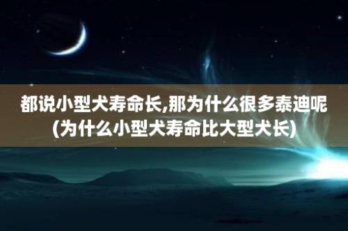 都说小型犬寿命长,那为什么很多泰迪呢(为什么小型犬寿命比大型犬长)