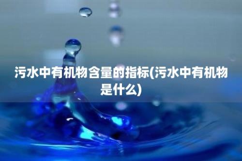 污水中有机物含量的指标(污水中有机物是什么)