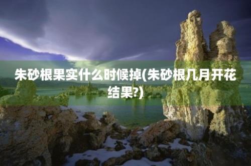 朱砂根果实什么时候掉(朱砂根几月开花结果?)