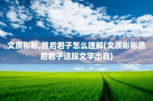 文质彬彬,然后君子怎么理解(文质彬彬然后君子这段文字出自)