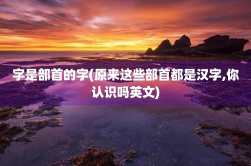 字是部首的字(原来这些部首都是汉字,你认识吗英文)