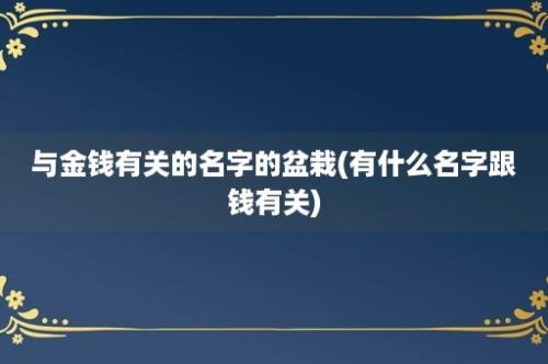 与金钱有关的名字的盆栽(有什么名字跟钱有关)