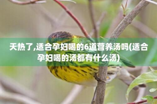 天热了,适合孕妇喝的6道营养汤吗(适合孕妇喝的汤都有什么汤)