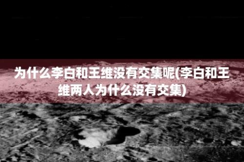 为什么李白和王维没有交集呢(李白和王维两人为什么没有交集)