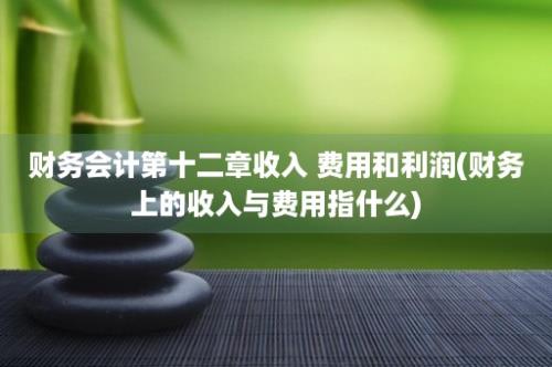 财务会计第十二章收入 费用和利润(财务上的收入与费用指什么)