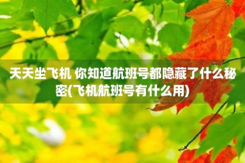 天天坐飞机 你知道航班号都隐藏了什么秘密(飞机航班号有什么用)