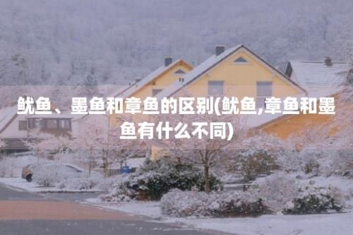 鱿鱼、墨鱼和章鱼的区别(鱿鱼,章鱼和墨鱼有什么不同)