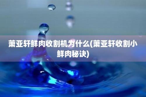 萧亚轩鲜肉收割机为什么(萧亚轩收割小鲜肉秘诀)