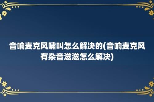 音响麦克风啸叫怎么解决的(音响麦克风有杂音滋滋怎么解决)