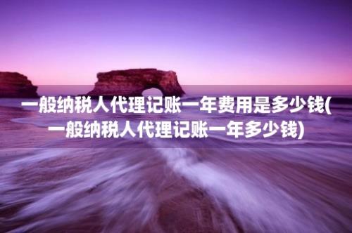 一般纳税人代理记账一年费用是多少钱(一般纳税人代理记账一年多少钱)